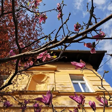 Vv Art, Unique In Center *