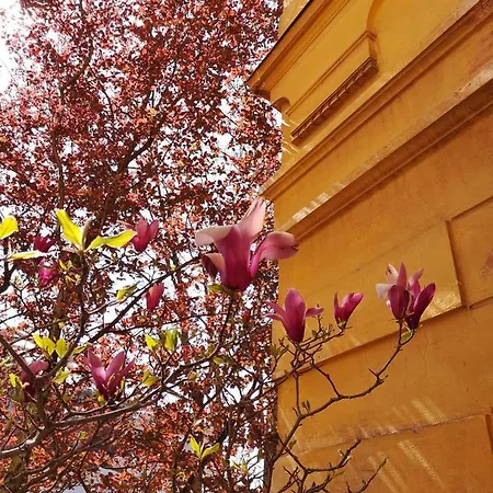 Vv Art, Unique In Center Lägenhet Ljubljana