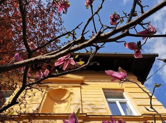 Vv Art, Unique In Center *