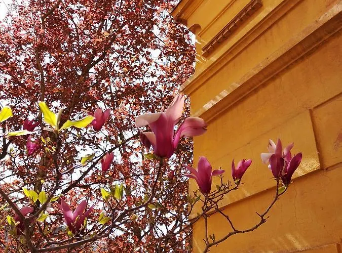 Vv Art, Unique In Center Апартаменты Любляна