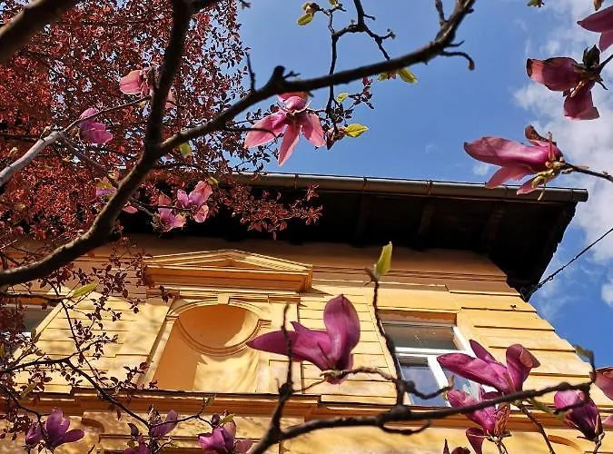 Vv Art, Unique In Center Апартаменты *