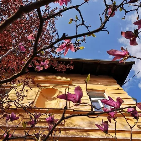 Vv Art, Unique In Center Апартаменты *